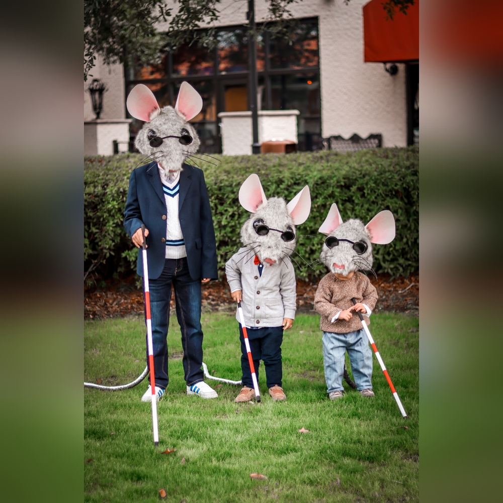Halloween Costume - 3 Blind Mice
